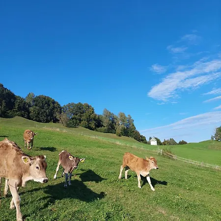 Woerle, Feriegård *