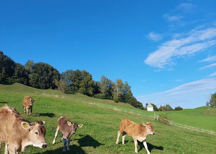 Woerle, Vakantieboerderij *